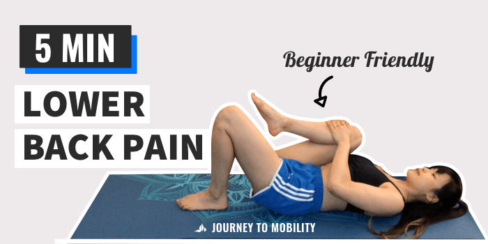 Stretching for Back Pain Relief  Yoga for back pain, Lower back pain  exercises, Back pain relief